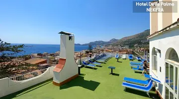 Delle Palme