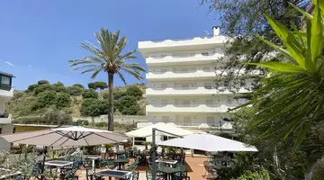 Delle Palme
