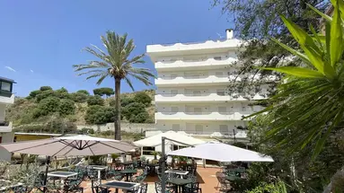 Delle Palme