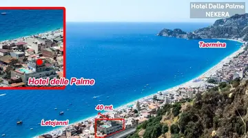Delle Palme