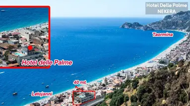 Delle Palme