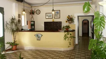 Delle Palme