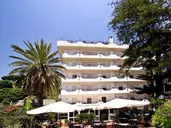 Delle Palme