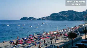 Delle Palme