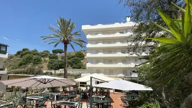 Delle Palme