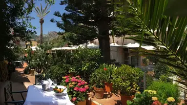 Delle Palme