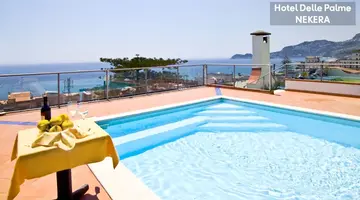 Delle Palme