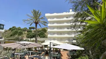 Delle Palme
