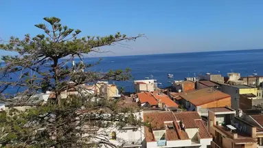 Delle Palme