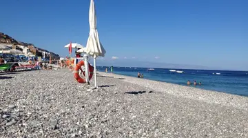 Delle Palme