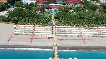 DELPHIN DELUXE