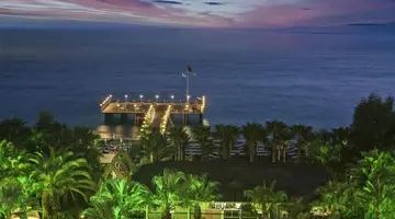 Delphin Deluxe