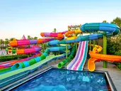Delphin Deluxe