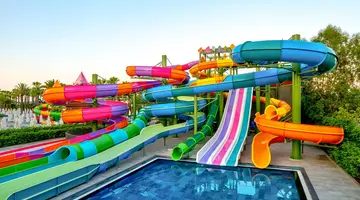 Delphin Deluxe
