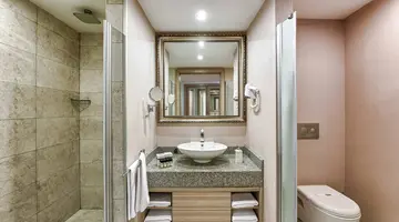 Delphin Deluxe