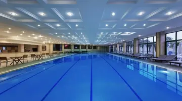 Delphin Deluxe