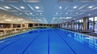 Delphin Deluxe