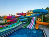 DELPHIN DELUXE