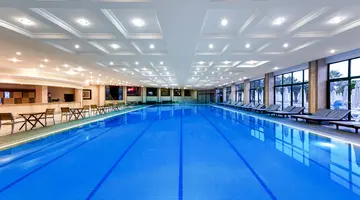 Delphin Deluxe