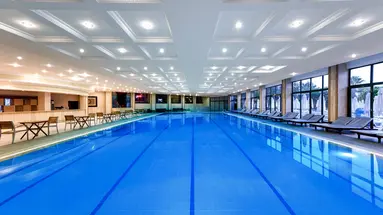 Delphin Deluxe
