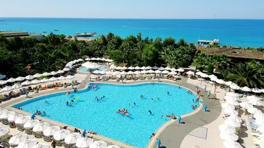 DELPHIN DELUXE