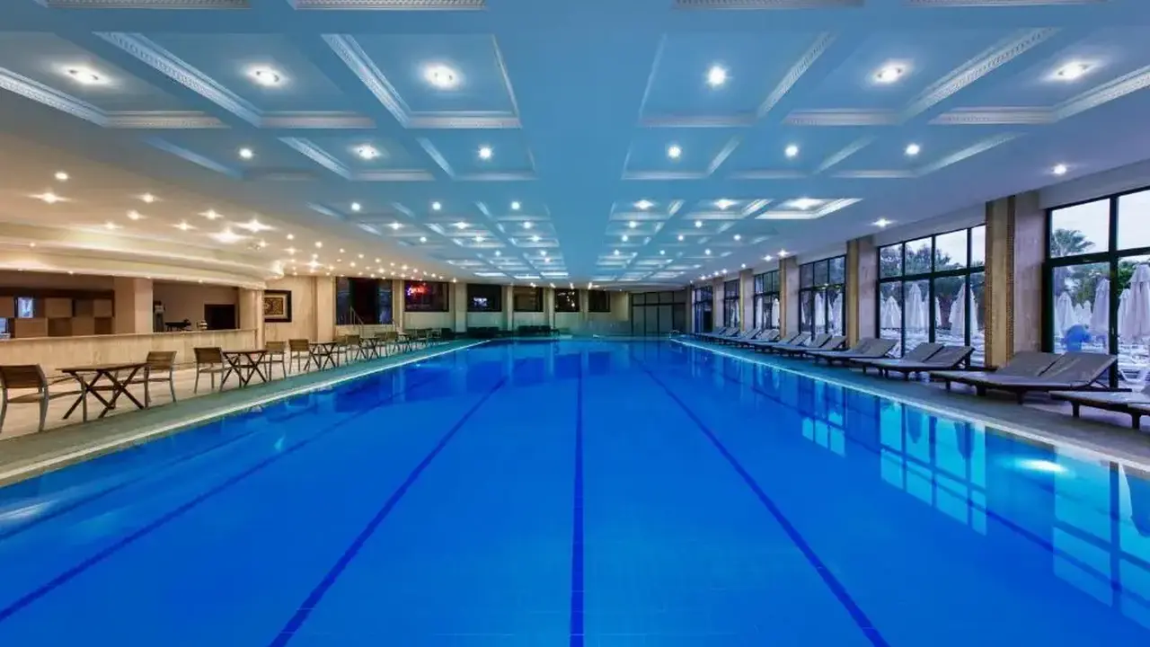 DELPHIN DELUXE