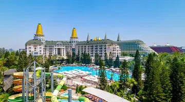 DELPHIN DIVA PREMIERE