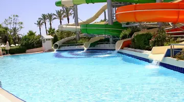 Delphin Diva