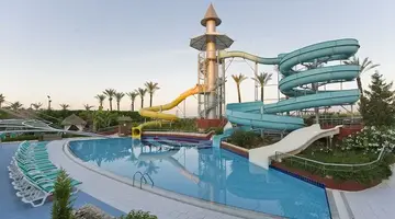 Delphin Diva