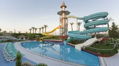 Delphin Diva