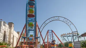 Delphin Diva