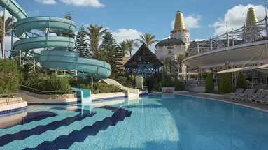 Delphin Diva