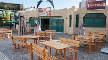 Delphin El Habib
