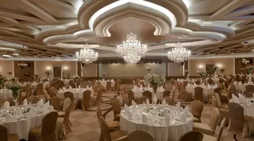 DELPHIN IMPERIAL LARA