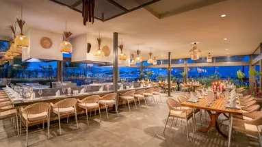 Delphin Imperial Lara