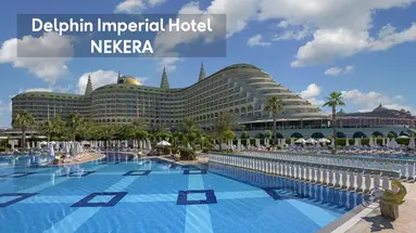 DELPHIN IMPERIAL