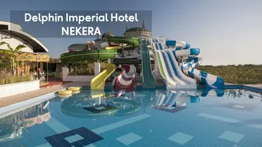 DELPHIN IMPERIAL