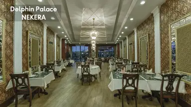 DELPHIN PALACE