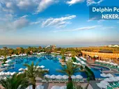 DELPHIN PALACE
