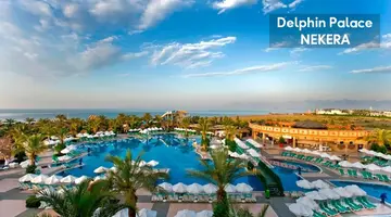 DELPHIN PALACE