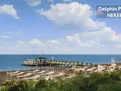 DELPHIN PALACE