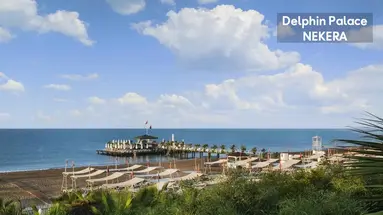 DELPHIN PALACE