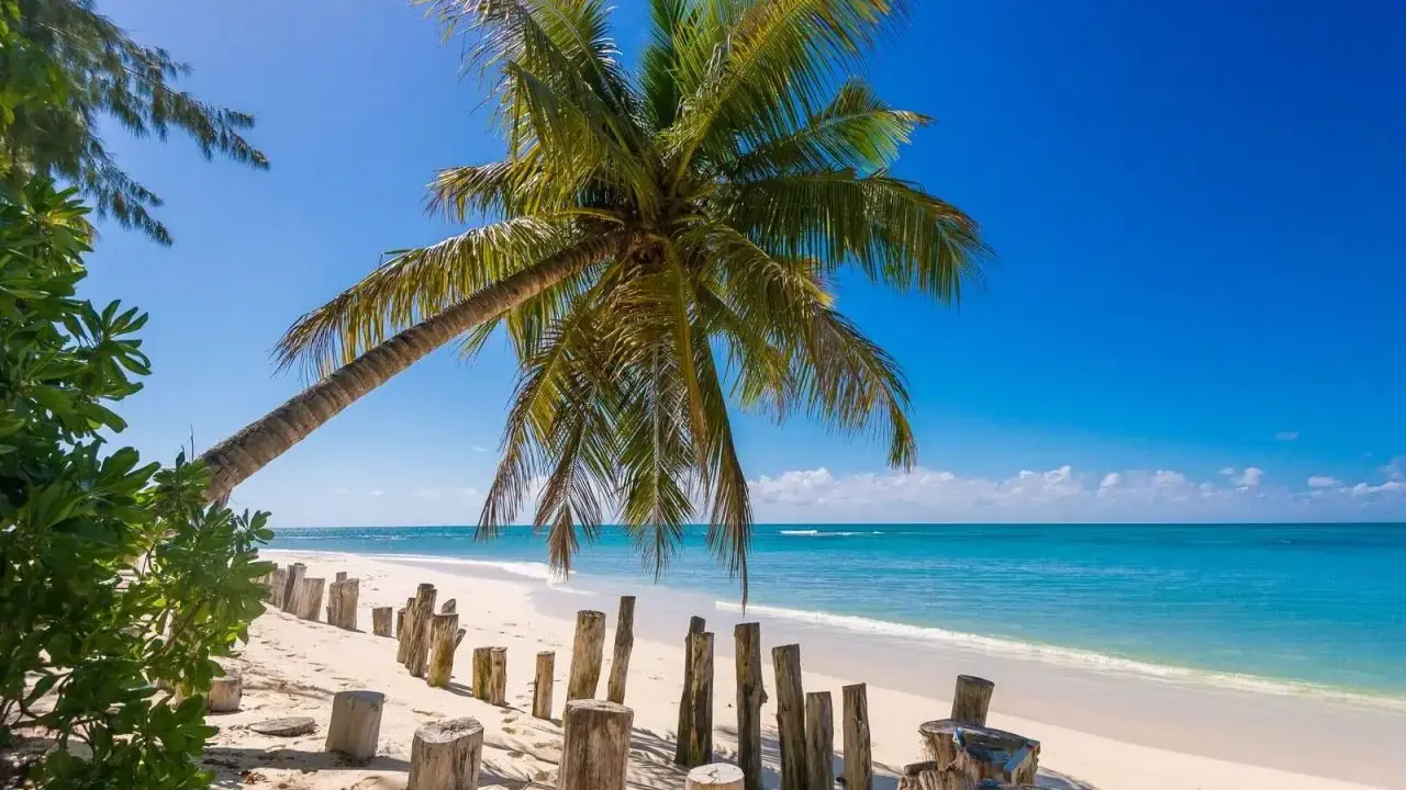 Denis Private Island