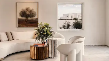 Deos Mykonos 5