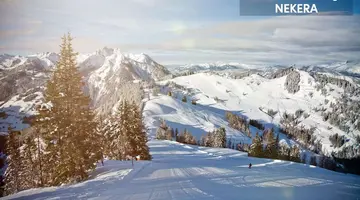 Der Alpenblick