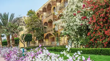 DESERT ROSE RESORT