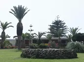 Dessole Malia Beach Hotel