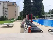 Detelina