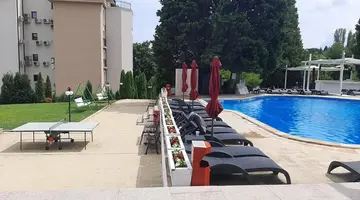 Detelina