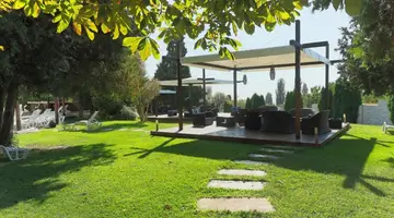 Detelina